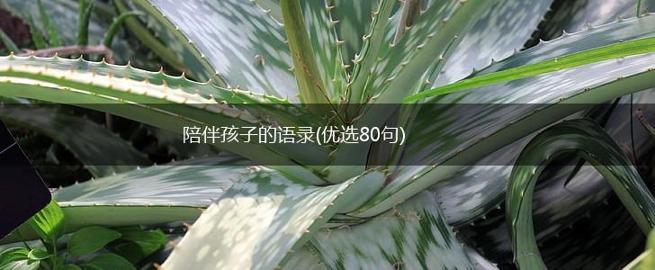 陪伴孩子的语录(优选80句),第1张