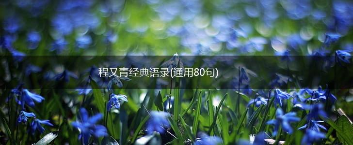 程又青经典语录(通用80句),第1张