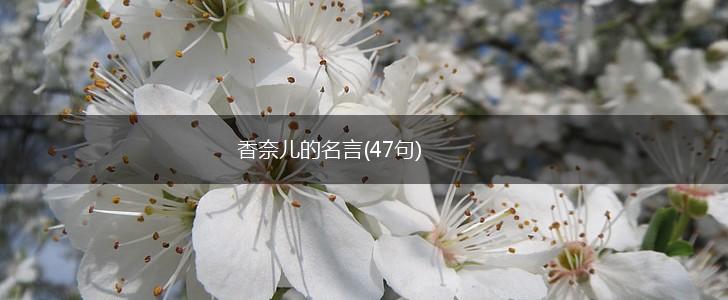 香奈儿的名言(47句),第1张