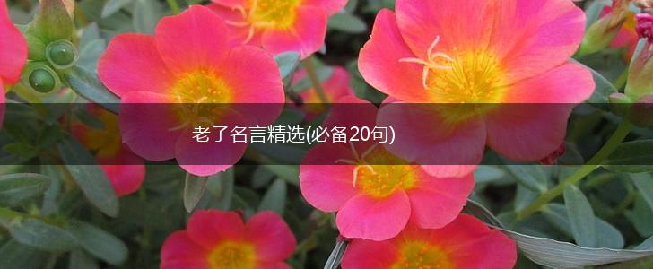 老子名言精选(必备20句),第1张 老子名言精选(必备20句),第1张