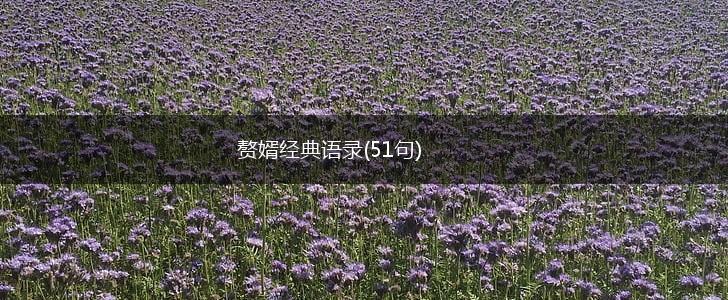 赘婿经典语录(51句),第1张