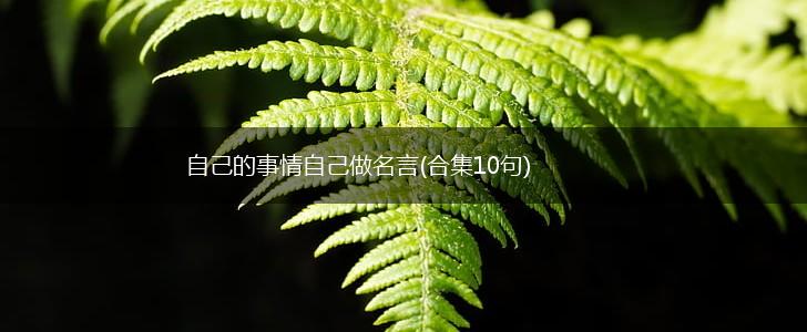自己的事情自己做名言(合集10句),第1张