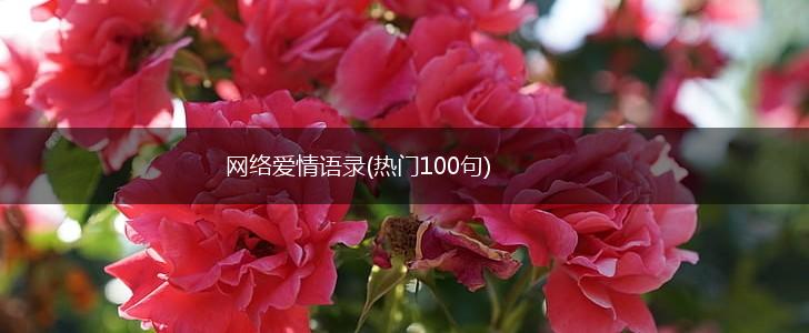网络爱情语录(热门100句),第1张