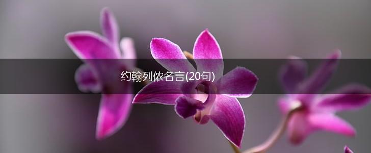 约翰列侬名言(20句),第1张