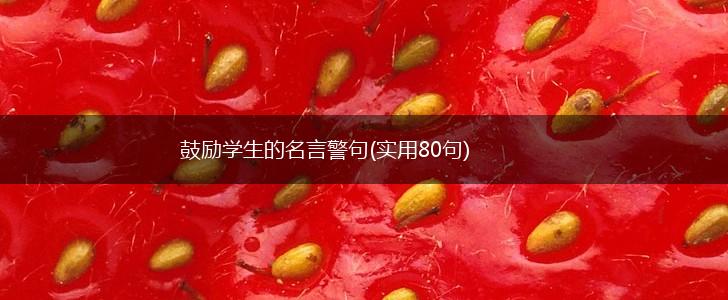 鼓励学生的名言警句(实用80句),第1张