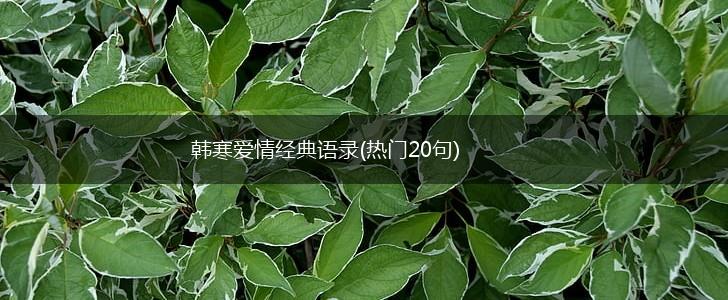 韩寒爱情经典语录(热门20句),第1张