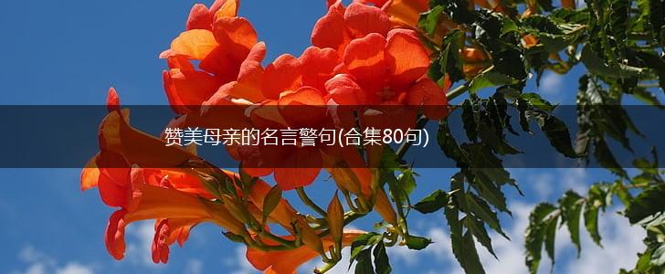 赞美母亲的名言警句(合集80句),第1张