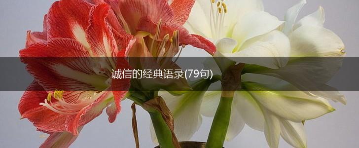 诚信的经典语录(79句),第1张