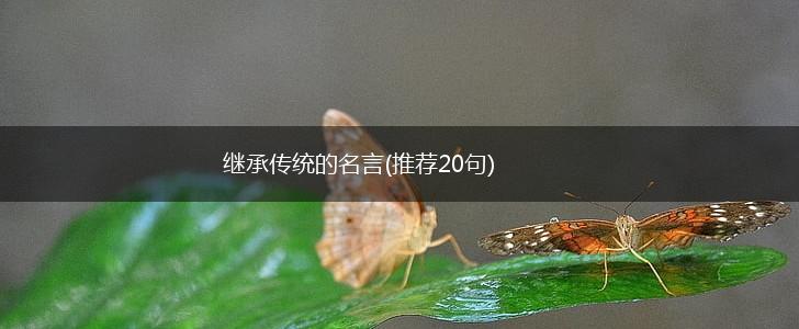 继承传统的名言(推荐20句),第1张