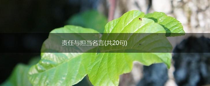 责任与担当名言(共20句),第1张