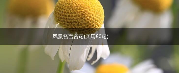 风景名言名句(实用80句),第1张