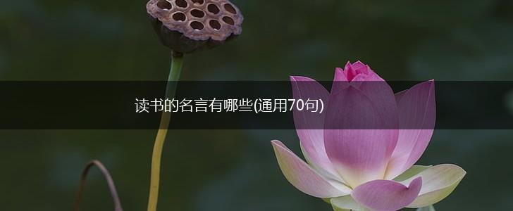 读书的名言有哪些(通用70句),第1张