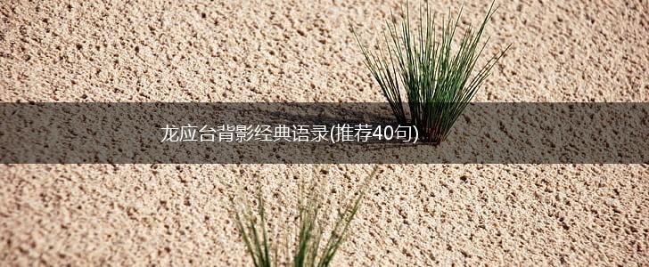 龙应台背影经典语录(推荐40句),第1张