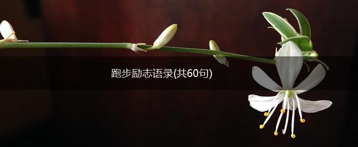 跑步励志语录(共60句),第1张