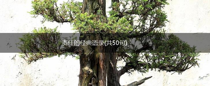 责任的经典语录(共50句),第1张