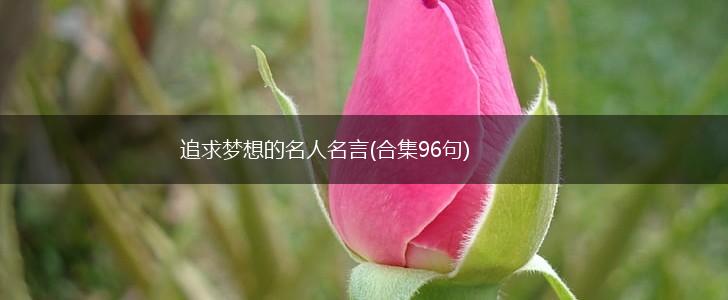 追求梦想的名人名言(合集96句),第1张 追求梦想的名人名言(合集96句),第1张