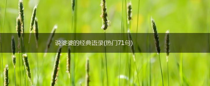 说婆婆的经典语录(热门71句),第1张