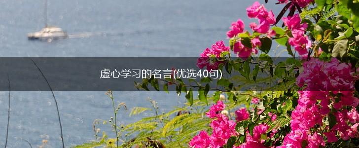 虚心学习的名言(优选40句),第1张