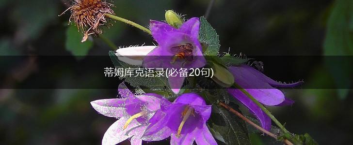 蒂姆库克语录(必备20句),第1张