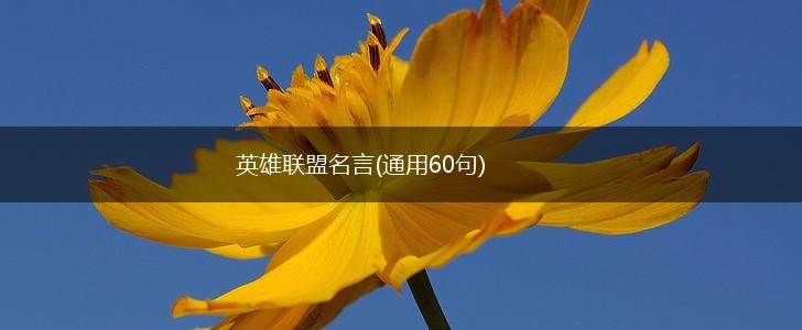 英雄联盟名言(通用60句),第1张 英雄联盟名言(通用60句),第1张