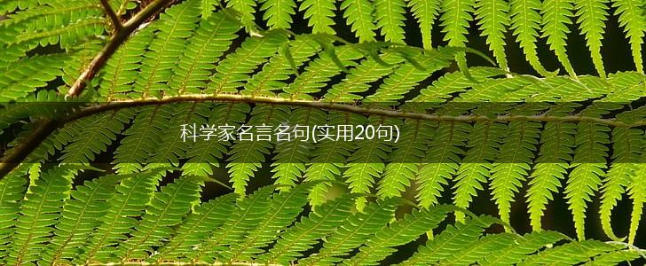 科学家名言名句(实用20句),第1张 科学家名言名句(实用20句),第1张