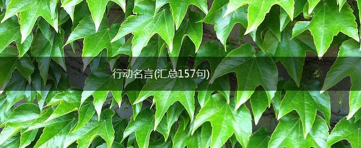 行动名言(汇总157句),第1张 行动名言(汇总157句),第1张