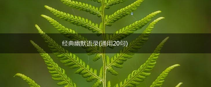 经典幽默语录(通用20句),第1张