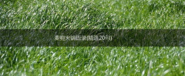麦兜火锅语录(精选20句),第1张