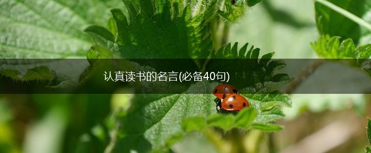 认真读书的名言(必备40句),第1张