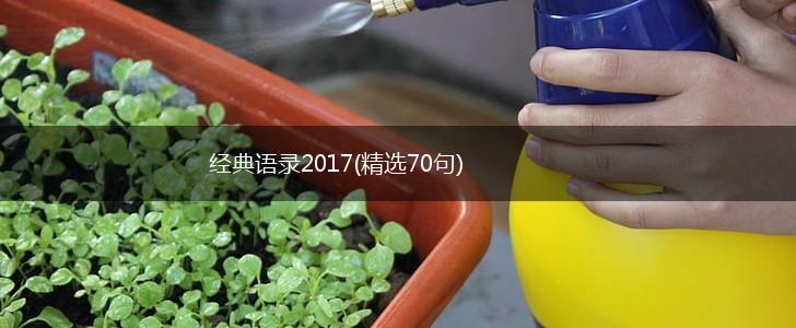 经典语录2017(精选70句),第1张