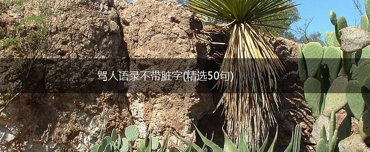 骂人语录不带脏字(精选50句),第1张