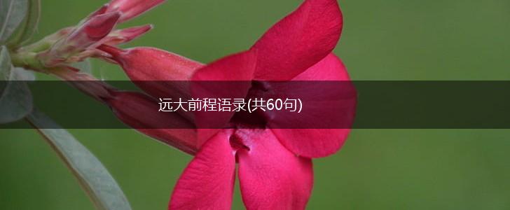 远大前程语录(共60句),第1张