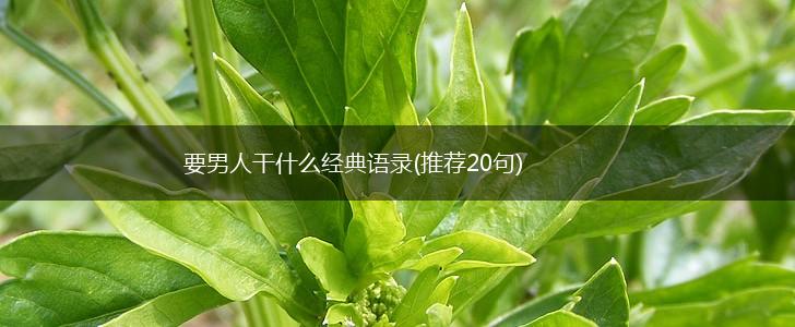 要男人干什么经典语录(推荐20句),第1张