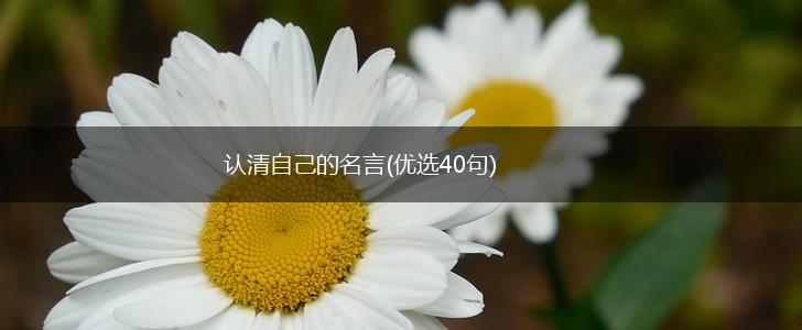 认清自己的名言(优选40句),第1张