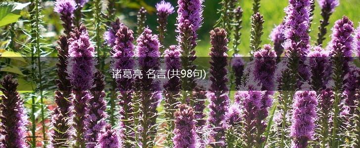 诸葛亮 名言(共98句),第1张 诸葛亮 名言(共98句),第1张