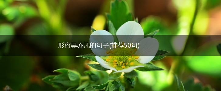 形容吴亦凡的句子(推荐50句),第1张