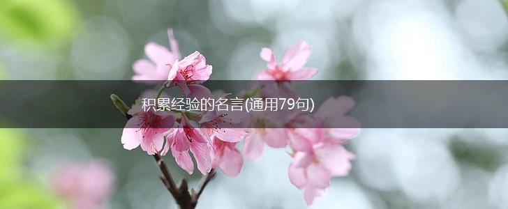 积累经验的名言(通用79句),第1张