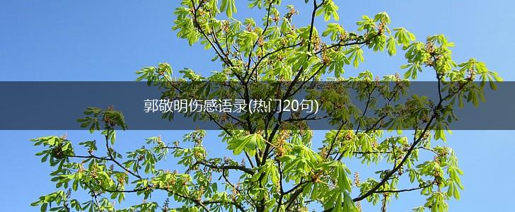 郭敬明伤感语录(热门20句),第1张