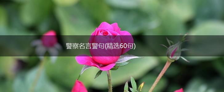 警察名言警句(精选60句),第1张