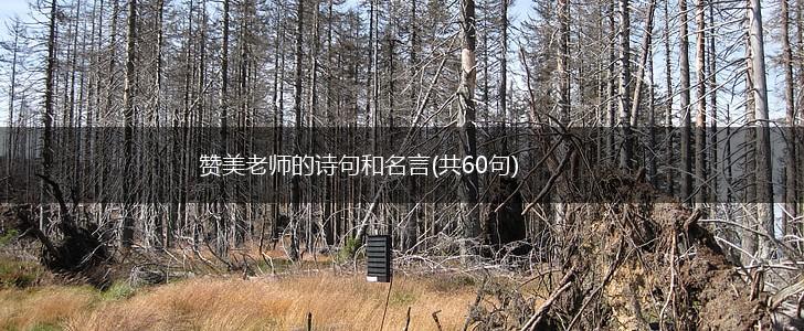 赞美老师的诗句和名言(共60句),第1张 赞美老师的诗句和名言(共60句),第1张