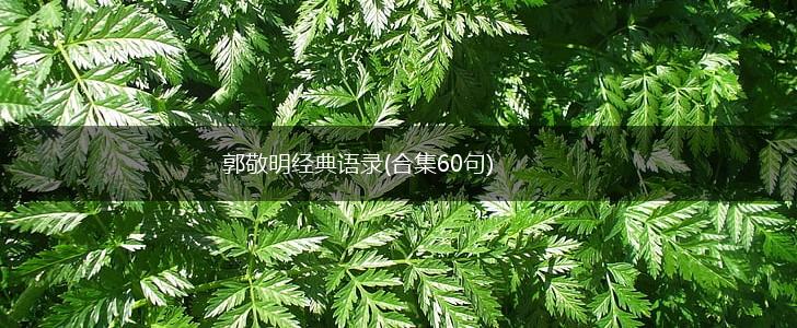 郭敬明经典语录(合集60句),第1张