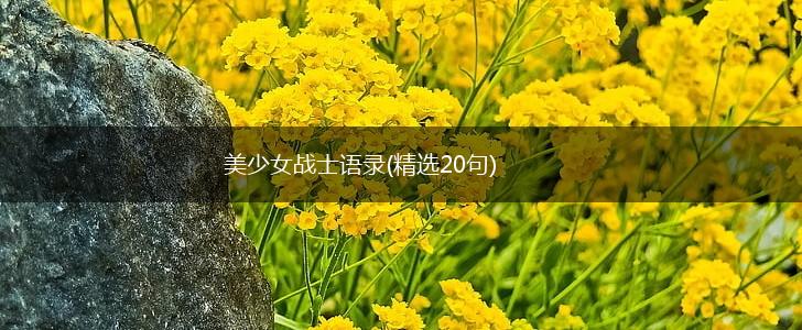 美少女战士语录(精选20句),第1张