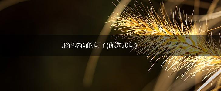形容吃面的句子(优选50句),第1张