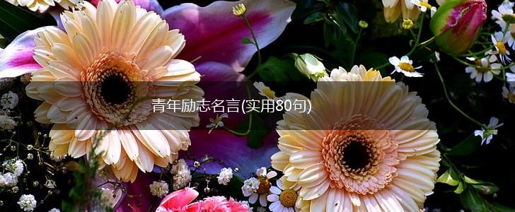 青年励志名言(实用80句),第1张