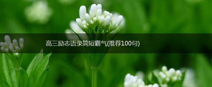 高三励志语录简短霸气(推荐100句),第1张