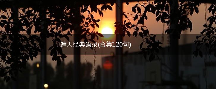 遮天经典语录(合集120句),第1张