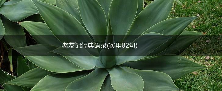 老友记经典语录(实用82句),第1张