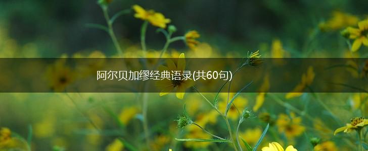 阿尔贝加缪经典语录(共60句),第1张