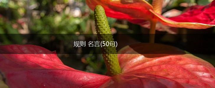 规则 名言(50句),第1张 规则 名言(50句),第1张