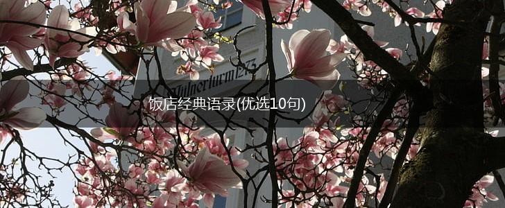 饭店经典语录(优选10句),第1张